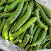خیارسبز