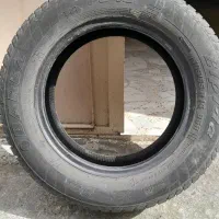 لاستیک ال نود