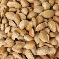 بادام