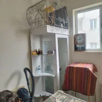 بوفه
