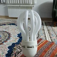 لامپ|لامپ و چراغ|تهران, دهکده المپیک|دیوار