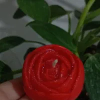شات آلاله