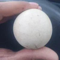 الماس اسیاب