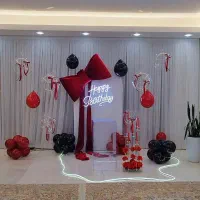 بادکنک آرایی ،عروسک تنپوش ،تم تولد ،دیجی،گل آرایی