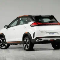 x33 کراس
