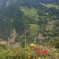 یک قطعه ۳۰۳ متری زمین سند دار در روستای نرس