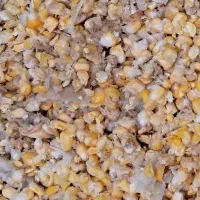 خوراک دام طیور علوفه کنسانتره ذرت سبوس اقتصادی