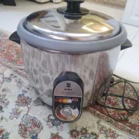 پلوپز برقی