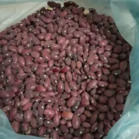 لوبیا قرمز خوشپخت، ارسال رایگان