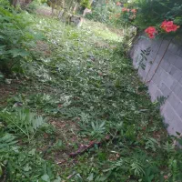 خدمات تخصصی علف تراشی و علف تراش و..