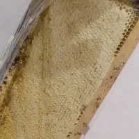 عسل کاملا طبیعی دامنه های سبلان