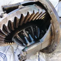 کله گاوی. ایسوزو سالم و بی صدا