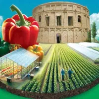 نمایشگاه-کشت-محصولات-گلخانه-ای-و-صنایع-وابسته
