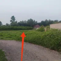 زمین سند دار باغی مناسب در شفت