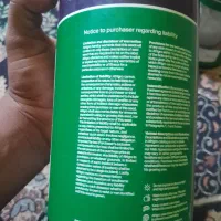پیاز آفیگرا سفید