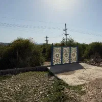 ۵ هزار متر باغ ثمری