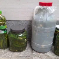 خیارشور و ترشی بادمجون