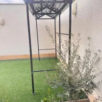 سایه بان