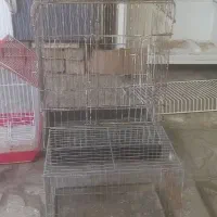 قفس پرنده