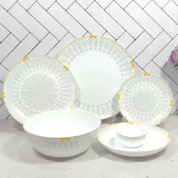 سرویس ارکوپال دوقسط