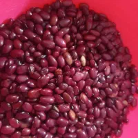 لوبیا قرمز محلی