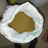 بذر یونجه