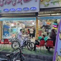 همکار خانم
