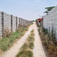 باغچه کوچه ساحل دیوارکشی