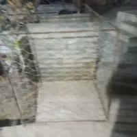 قفس
