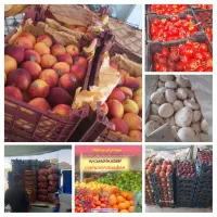 کارگر ساده جهت کار در میوه سرای