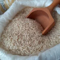 فروش بی واسطه برنج