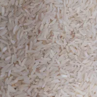 برنج فجر سوزنی