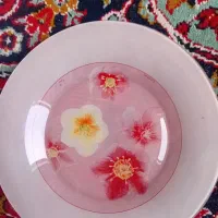 آرکوپال فرانسوی