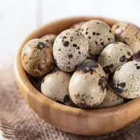 تخم بلدرچین