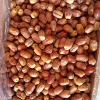 خرما زاهدی قصب