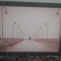 چراغ دارد