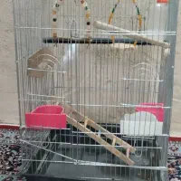 قفس پرنده