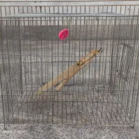 قفس پرنده
