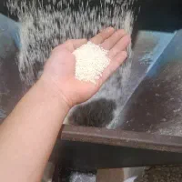 برنج تازه هاشمی درجه ۱ ۳۷۰ برنج  کهنه ۳۴۵ تمامی