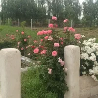 فروش-باغ-ویلا