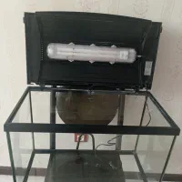 آکواریوم شیک و سالم