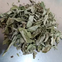 رزماری، نعنا فلفلی، مریم گلی. آویشن