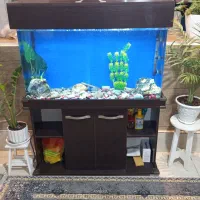 اکواریوم کامل و یک کوچک