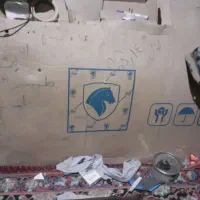 درب جلو  راست  و درب عقب چپ نو نو  هست شرکتی اصلی