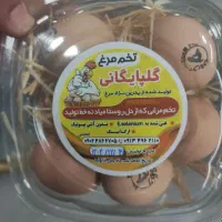 پخش تخم مرغ بومی عمده و شانه ای