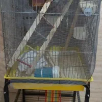قفس پرنده