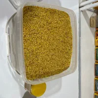 گردگل