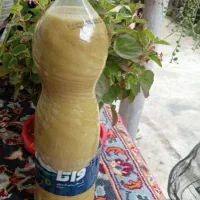 آبغوره امساله
