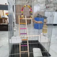 قفس پرنده بزرگ