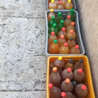 سرکه سیب